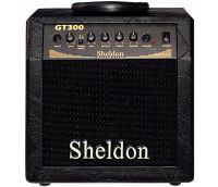  CUBO DE GUITARRA GT300 